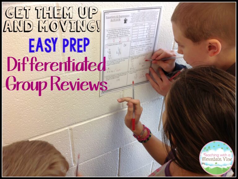 A Quick and Easy {Differentiated} Review Activity