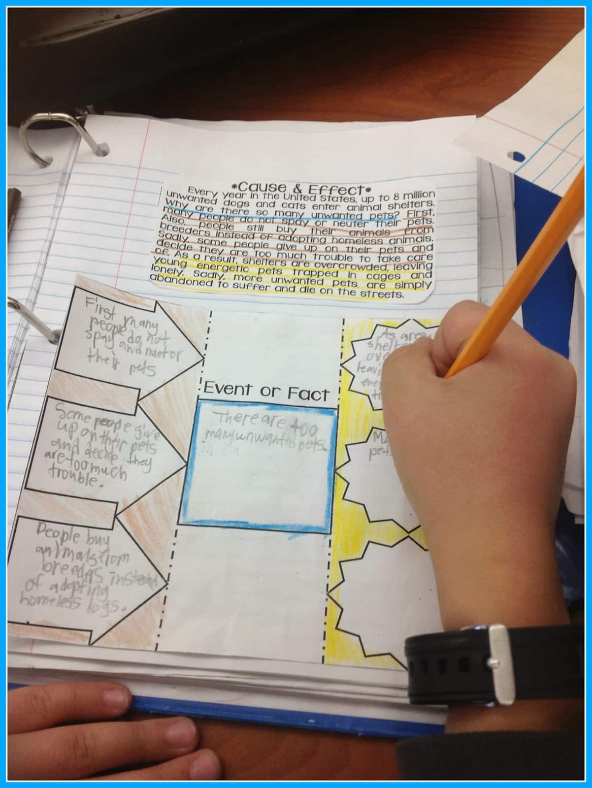 informational text structures interactive notebook