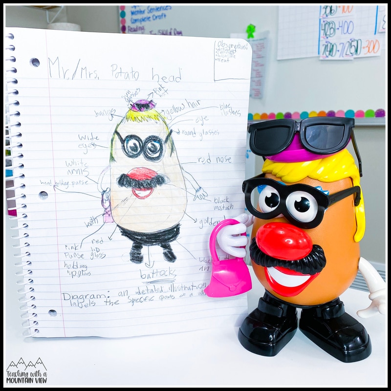 Mr. Potato Head lesson ideas