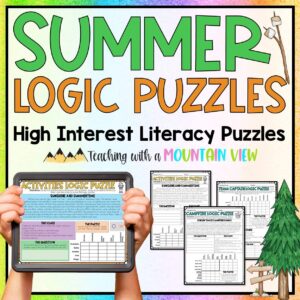 Summer Logic Puzzle COVER
