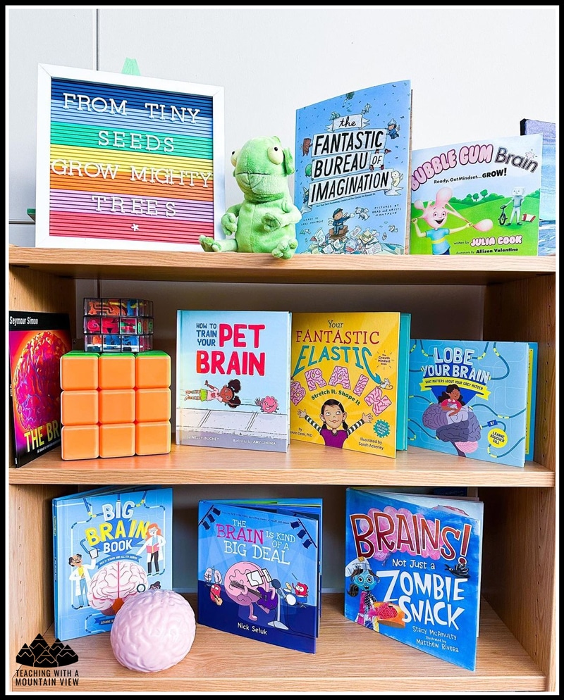 brain unit brain books for growth mindset