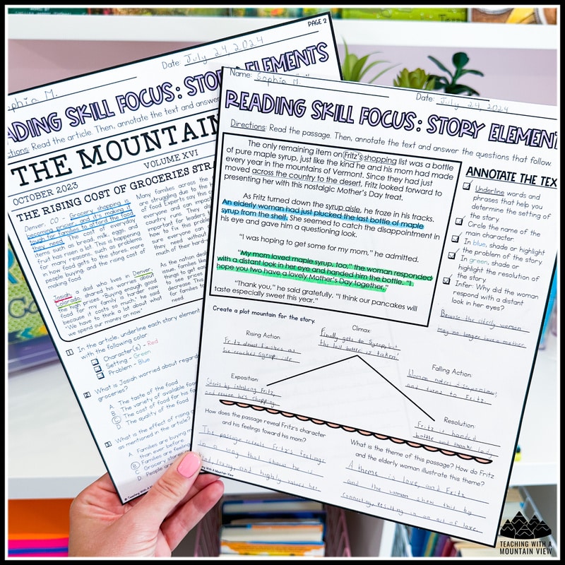 These assessments are the perfect companion to our Reading Lessons! Each assessment/printable has two pages. Use them as pre- or post-assessments, study guides, homework, intervention, or alternative assessments.