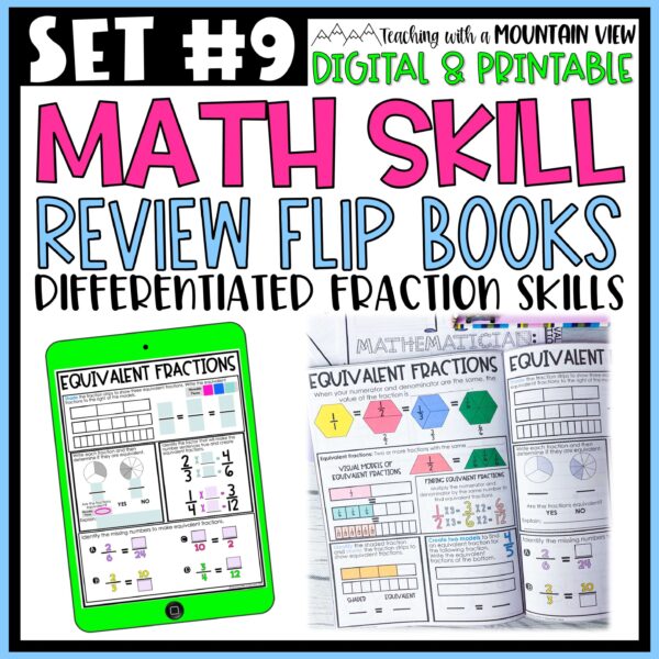 Fraction Skills Lesson